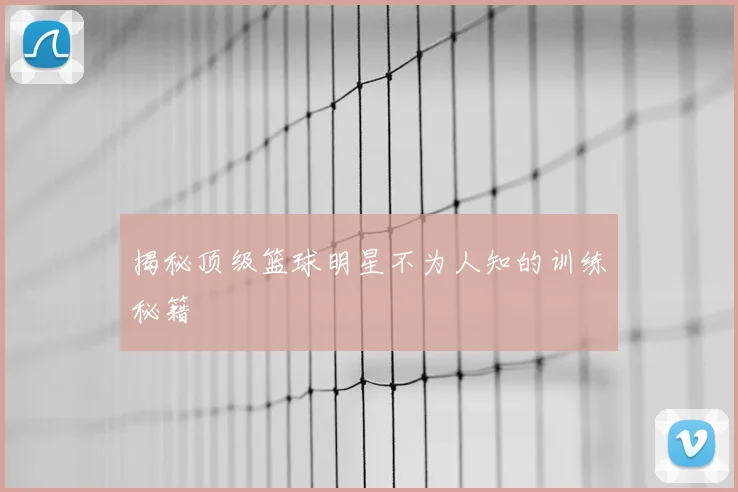 揭秘顶级篮球明星不为人知的训练秘籍